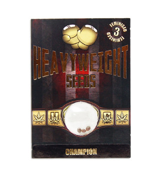 Champion fem (Heavyweight Seeds)