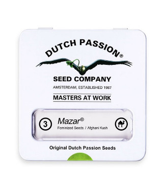 Mazar fem (Dutch Passion)