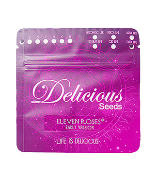 Eleven Roses Early Version fem (Delicious Seeds)