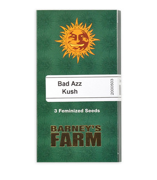 Bad Azz Kush fem (Barney's Farm)