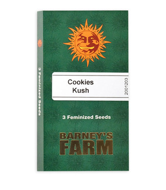 Cookies Kush fem (Barney's Farm)