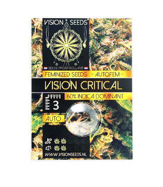 Vision Critical Auto Fem (Vision Seeds)