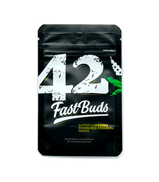 Gorilla Punch Auto fem (FastBuds)