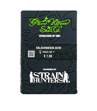 Kalashnikova Auto fem (GHS)