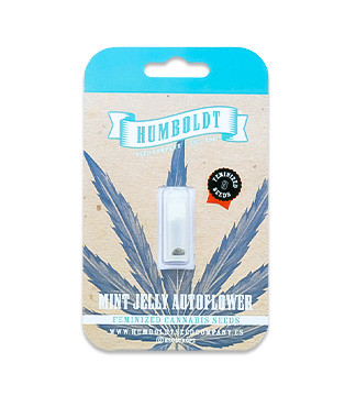 Mint Jelly Auto fem (Humboldt Seed Company)