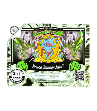 Bruce Banner Auto fem (Sweet Seeds)