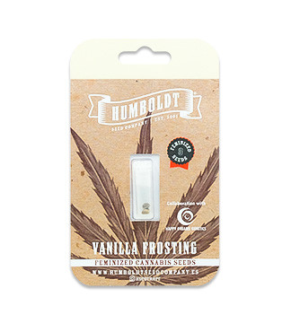 Vanilla Frosting fem (Humboldt Seed Company)