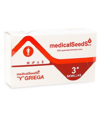 Y Griega fem (Medical Seeds)