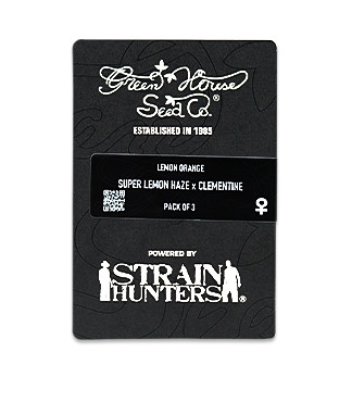 Lemon Orange fem (GHS)