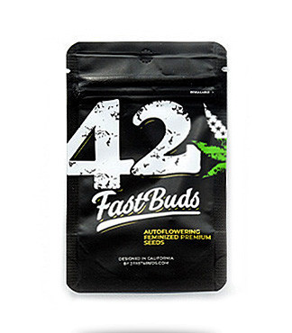 Lemon AK Auto fem (FastBuds)