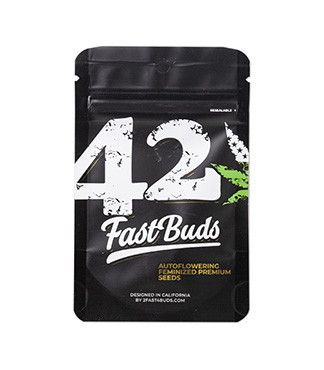 Kosher Cake Auto fem (FastBuds)