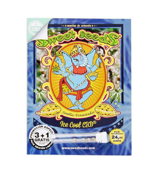 NYC Diesel CBD (Ice Cool CBD) fem (Sweet Seeds)