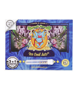 NYC Diesel Auto (Ice Cool Auto) fem (Sweet Seeds)