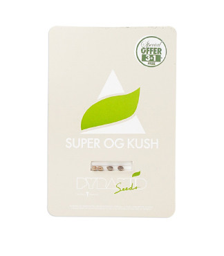 Super OG Kush fem (Pyramid Seeds)