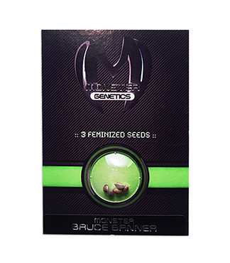 Bruce Banner fem (Monster Genetics)