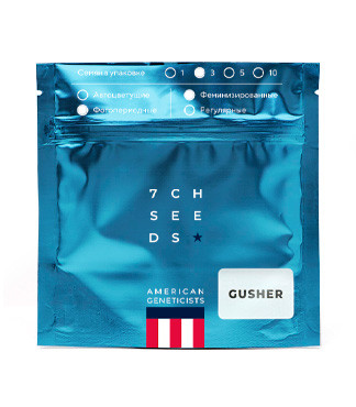 Gusher fem (7CH American)