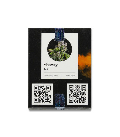Семена сорта Shawty R1 fem (Ethos Genetics)