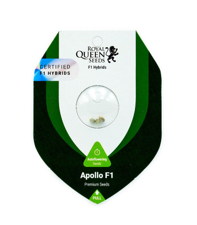 Семена сорта Apollo F1 Auto fem от RQS