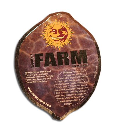 Семена сорта Tangelo Rapido Auto fem