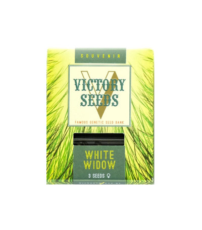 Семена сорта White Widow fem (Victory Seeds)