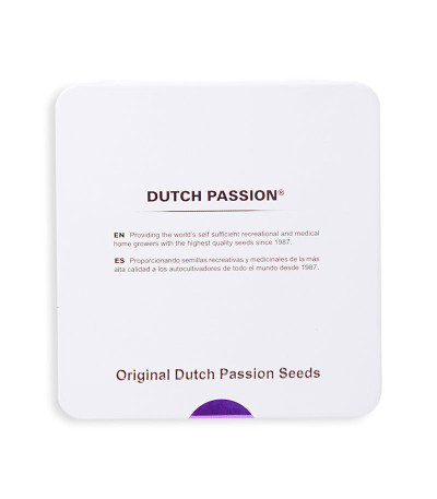 Купить семена конопли Blueberry 