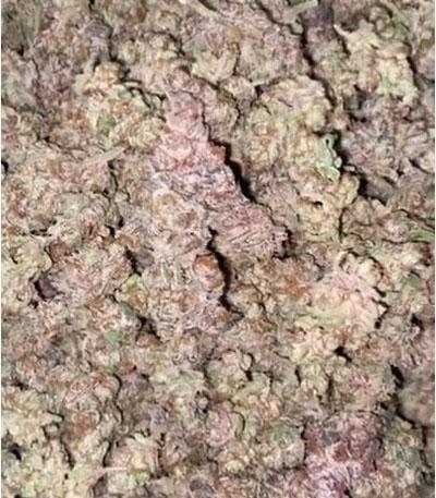 Семена сорта Runtz Muffin (Barney’s Farm)