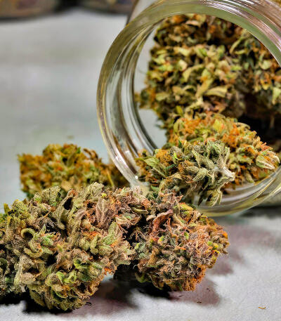 Семена сорта Blue Dream Autoflower fem (Seedkeepers)