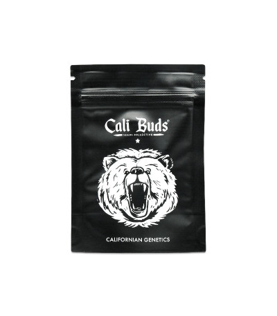 Семена сорта Gelato fem (Cali Buds Seeds)