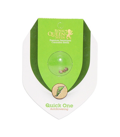 Семена сорта Quick One auto fem (Royal Queen Seeds)