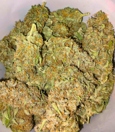 Семена сорта Za-Za OG fem (Herbies Seeds)