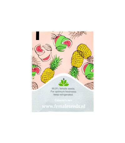 Семена сорта C99 fem (Female Seeds)