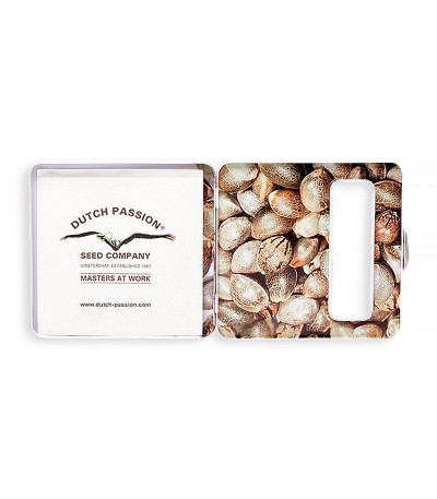 Семена сорта Auto Banana Blaze (Dutch Passion)