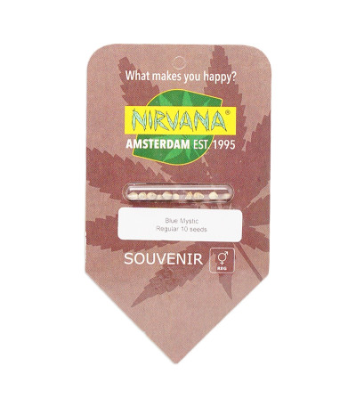 Семена сорта Blue Mystic (Blueberry) reg (Nirvana Seeds)