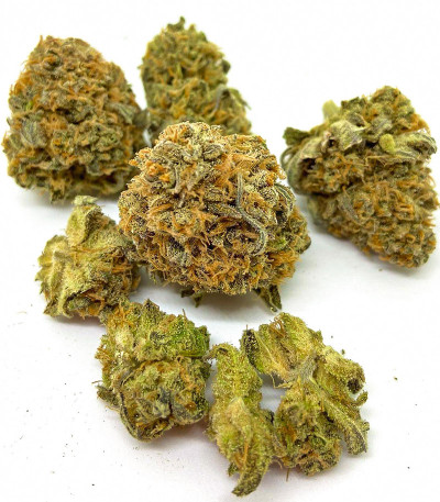 Семена сорта Auto Ak 2 fem (Семяныч)