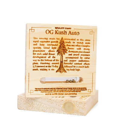Семена сорта OG Kush Auto fem (Humboldt Seeds)