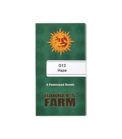 Семена сорта G13 Haze fem (Barney's Farm)