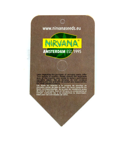 Семена сорта Northern Lights reg (Nirvana Seeds)