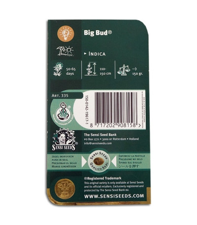 Семена сорта Big Bud fem (Sensi Seeds)