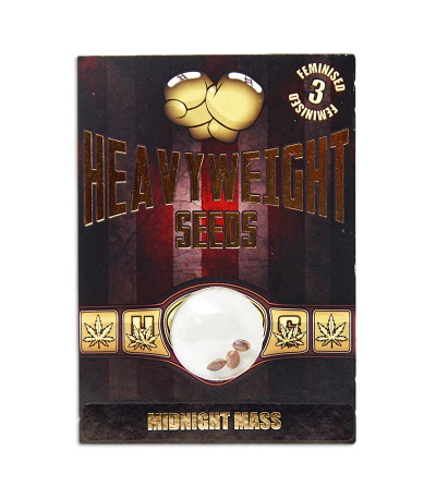 Семена сорта Midnight Mass fem (Heavyweight Seeds)