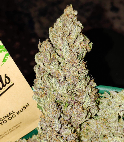 Семена сорта Original Auto OG Kush fem (FastBuds)