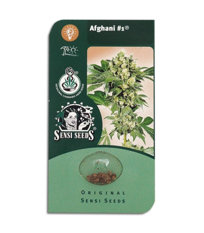 Семена сорта Afghani #1 reg (Sensi Seeds)