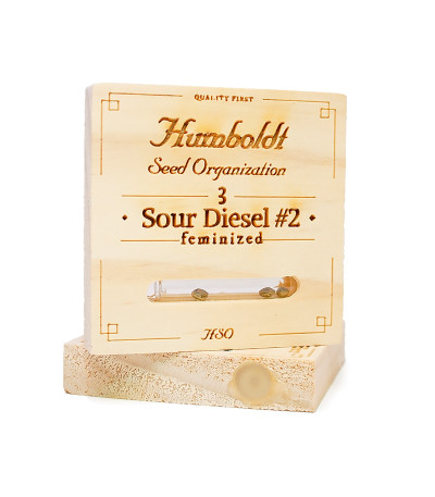 Семена сорта Sour Diesel #2 fem (Humboldt Seeds)