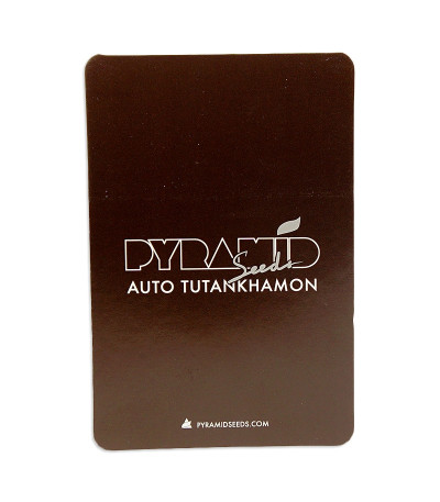 Семена сорта Auto Tutankhamon fem (Pyramid Seeds)