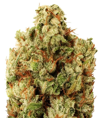Семена сорта Green Ninja fem (Heavyweight Seeds)