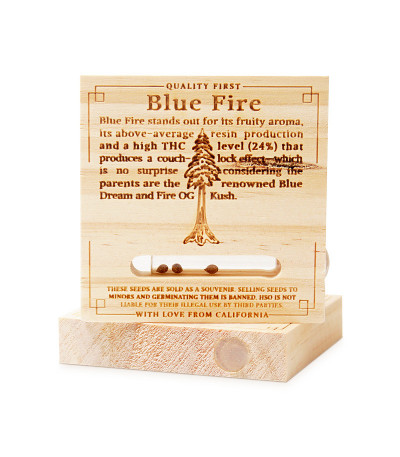 Семена сорта Blue Fire fem (Humboldt Seeds)