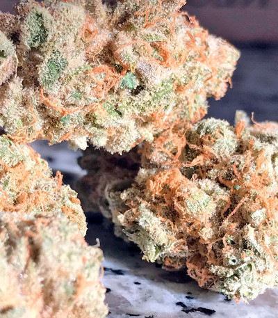 Семена сорта Papaya reg