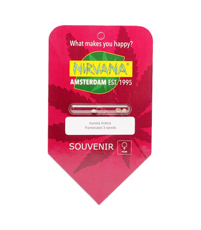 Семена сорта Aurora Indica fem (Nirvana Seeds)