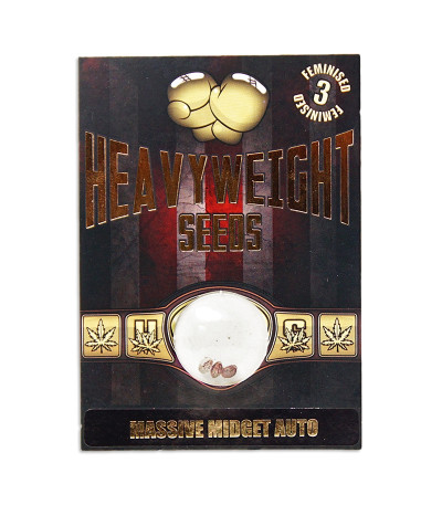 Семена сорта Massive Midget Auto fem (Heavyweight Seeds)