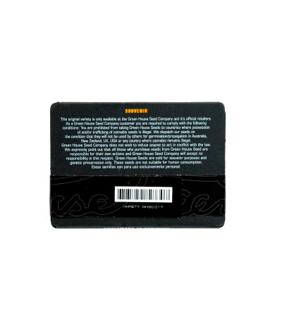 Семена сорта Northern Lights Auto fem (Green House Seeds)