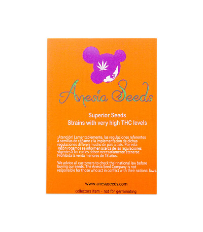 Семена сорта Gorilla Glue #4 fem (Anesia Seeds)